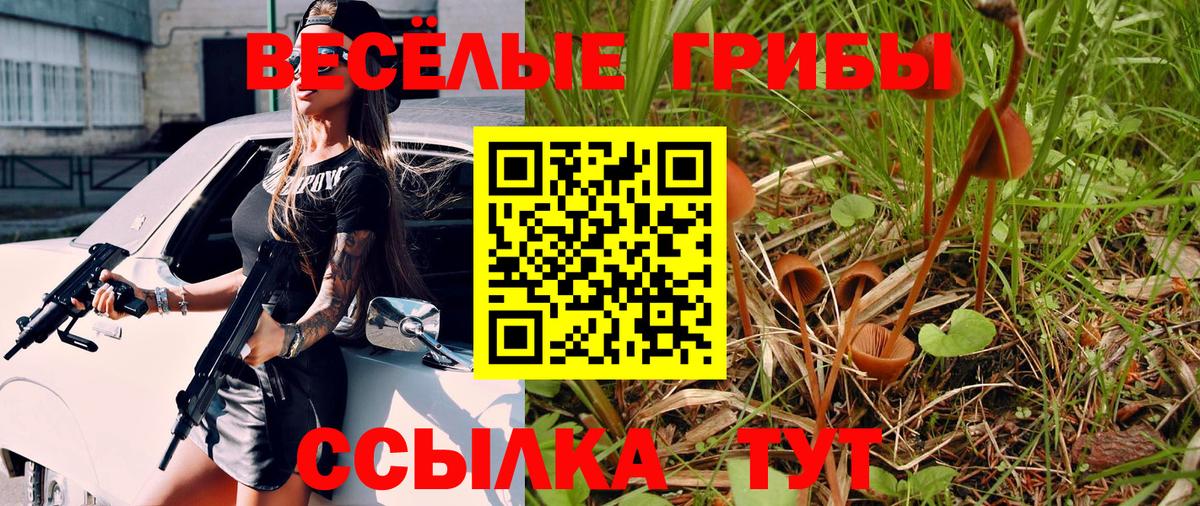 Псилоцибиновые грибы MAGIC MUSHROOMS Нарткала